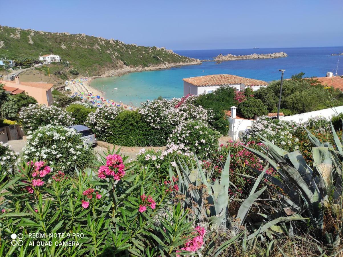B&B Domus De Janas Santa Teresa Gallura Eksteriør bilde